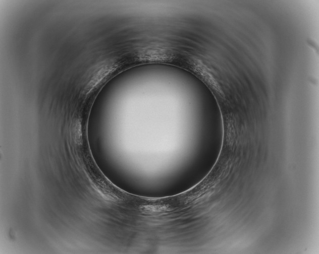 X0000098020251200803281340