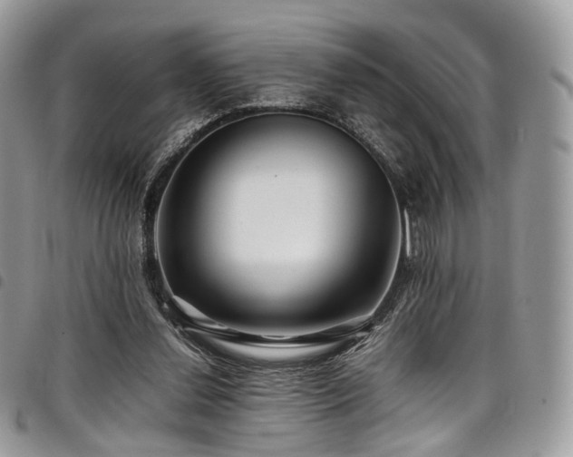 X0000098020252200803281340