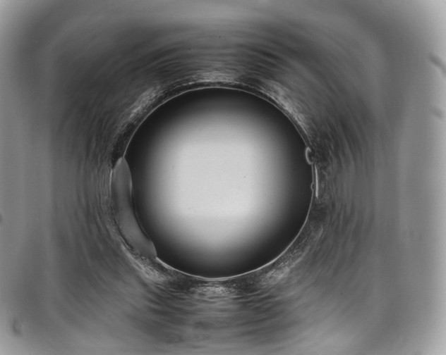 X0000098020253200803281340