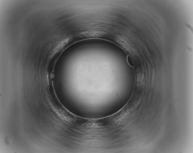 X0000098020254200803281340