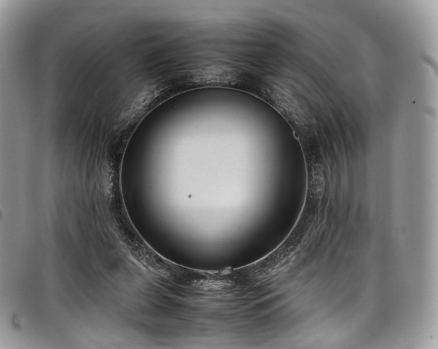 X0000098020255200803281340