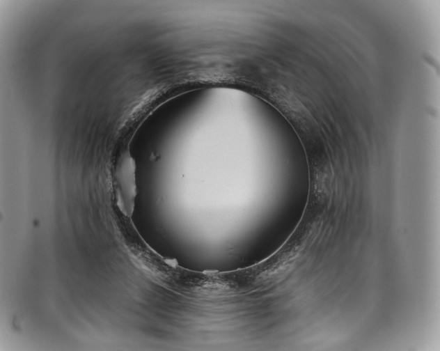 X0000098020256200803281340