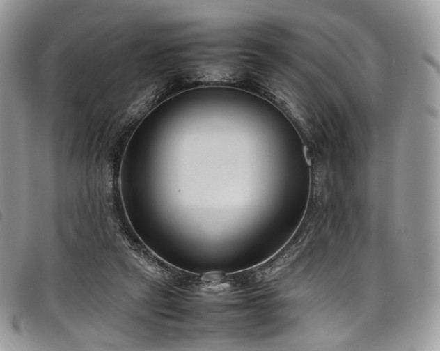 X0000098020257200803281340