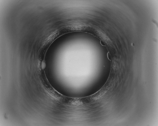 X0000098020258200803281340