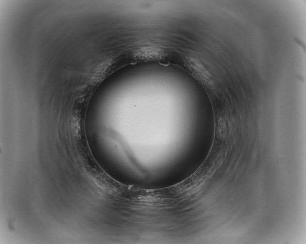 X0000098020259200803281340