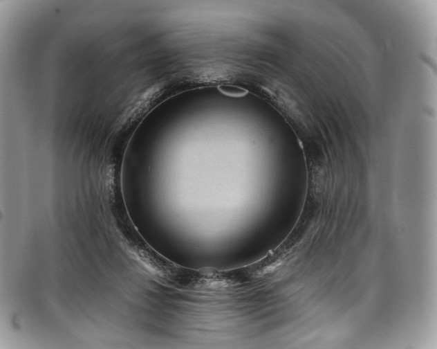 X0000098020260200803281340