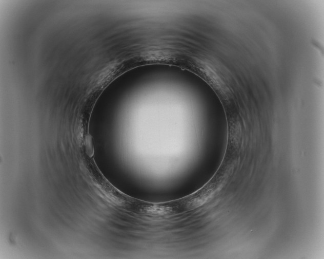 X0000098020261200803281340