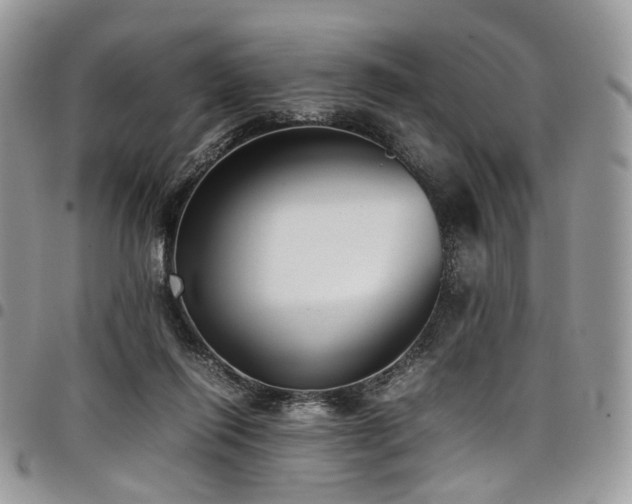 X0000098020262200803281340