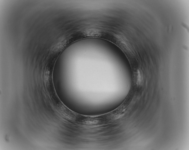 X0000098020263200803281340