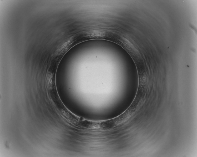 X0000098020264200803281340