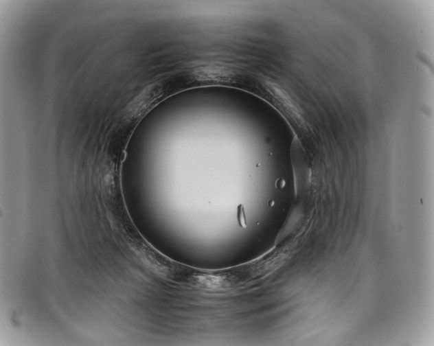 X0000098020265200803281340