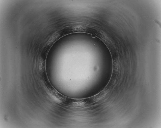 X0000098020266200803281340