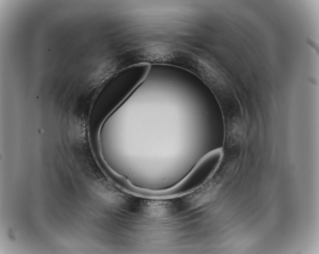 X0000098020268200803281340