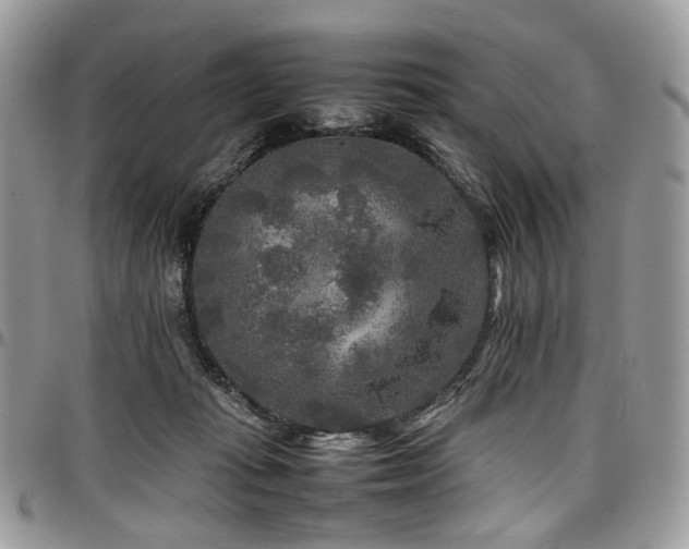 X0000098020269200803281340