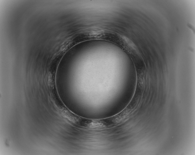 X0000098020270200803281340