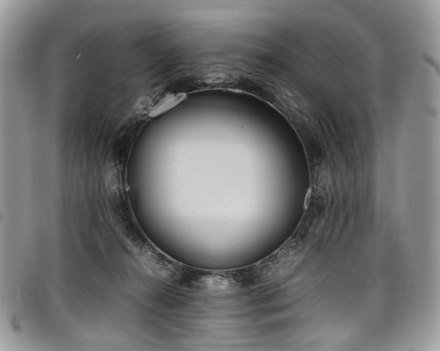 X0000098020272200803281340