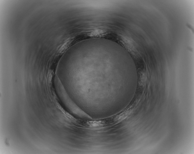 X0000098020273200803281340