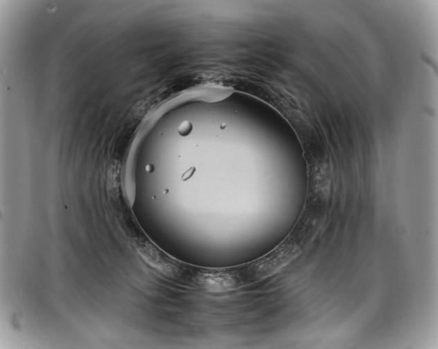 X0000098020275200803281341