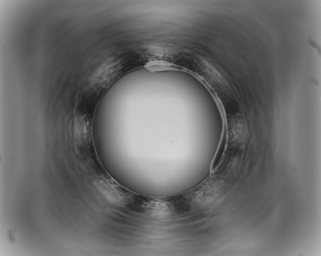 X0000098020276200803281341