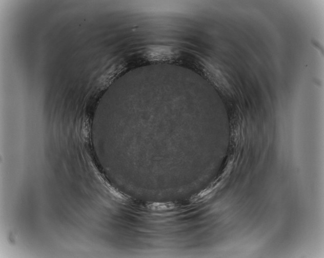 X0000098020277200803281341