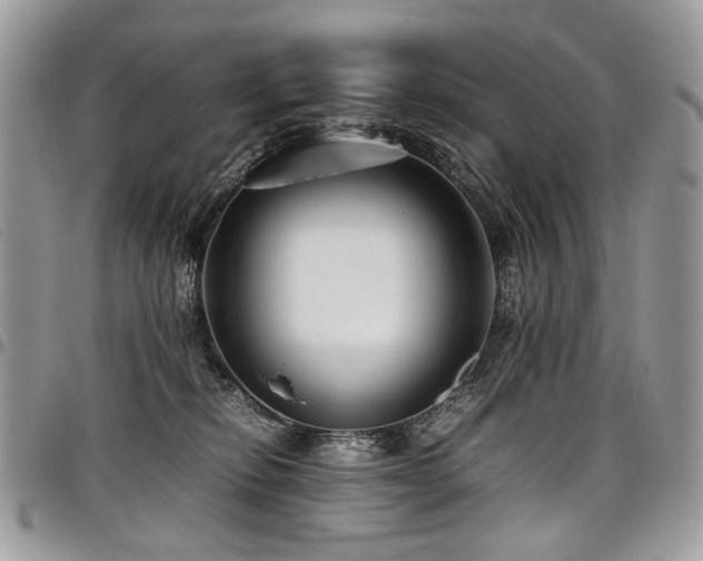 X0000098020278200803281341