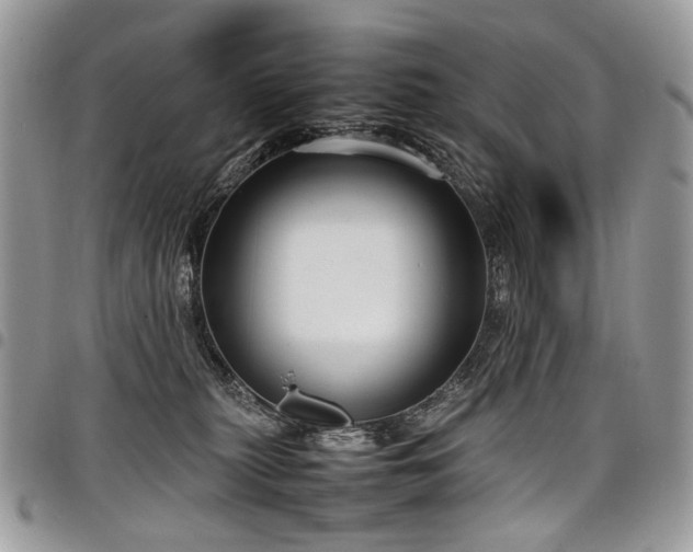 X0000098020279200803281341