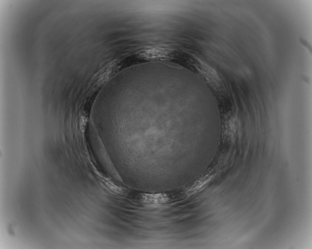 X0000098020281200803281341