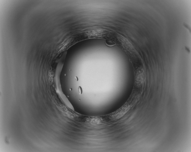 X0000098020282200803281341