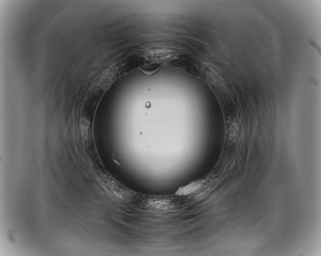 X0000098020283200803281341