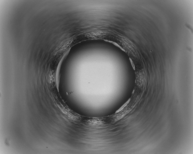 X0000098020284200803281341