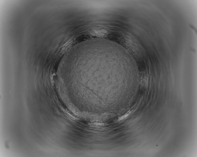 X0000098020285200803281341