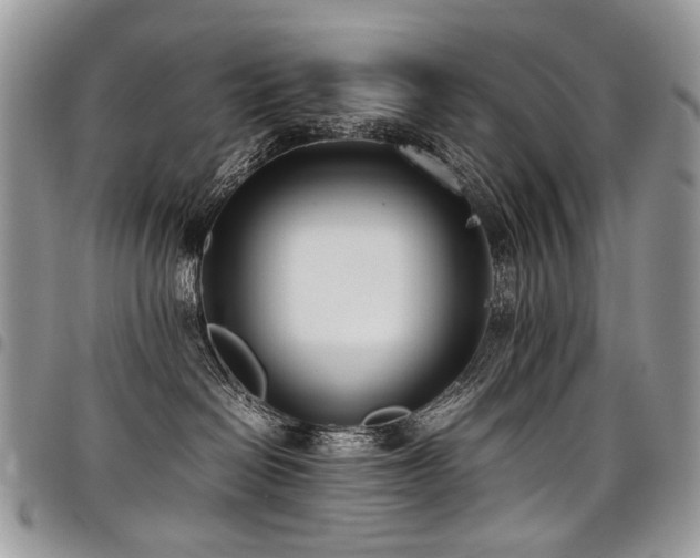 X0000098020286200803281341