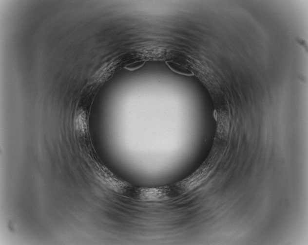 X0000098020287200803281341