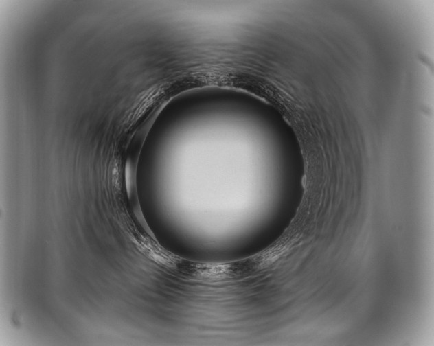 X0000098020288200803281341