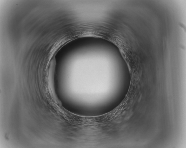 X0000098020289200803281340