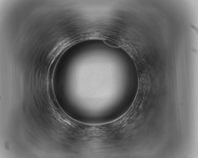 X0000098020290200803281340