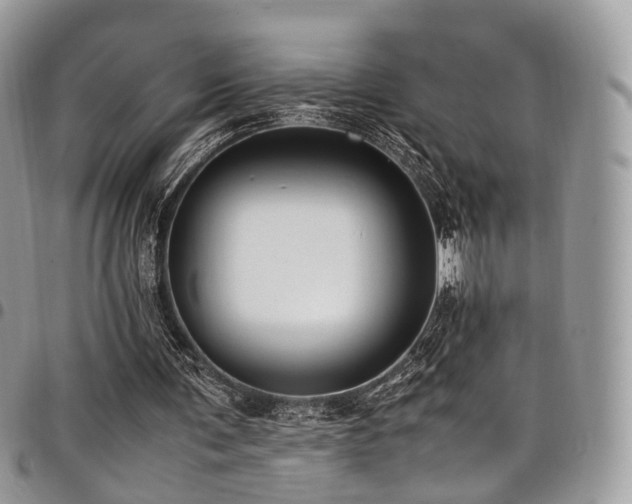 X0000098020291200803281340