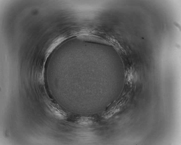 X0000098020292200803281340