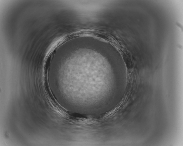 X0000098020293200803281340