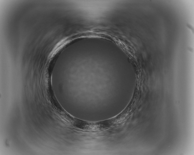 X0000098020295200803281340