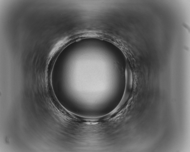 X0000098020296200803281340