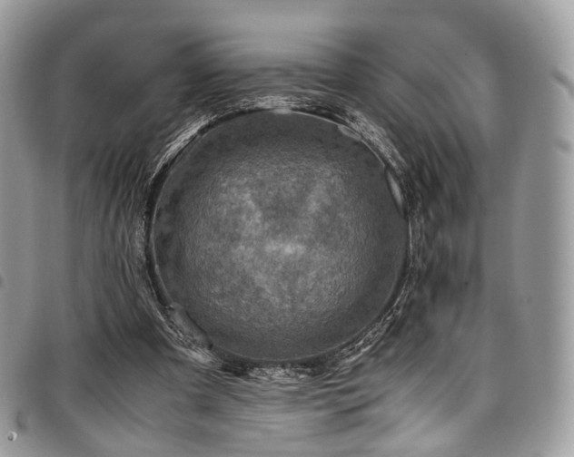 X0000098020297200803281340