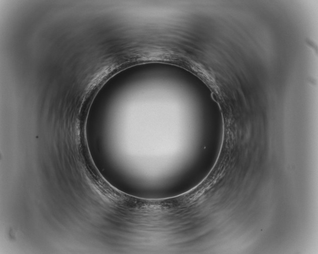 X0000098020298200803281340