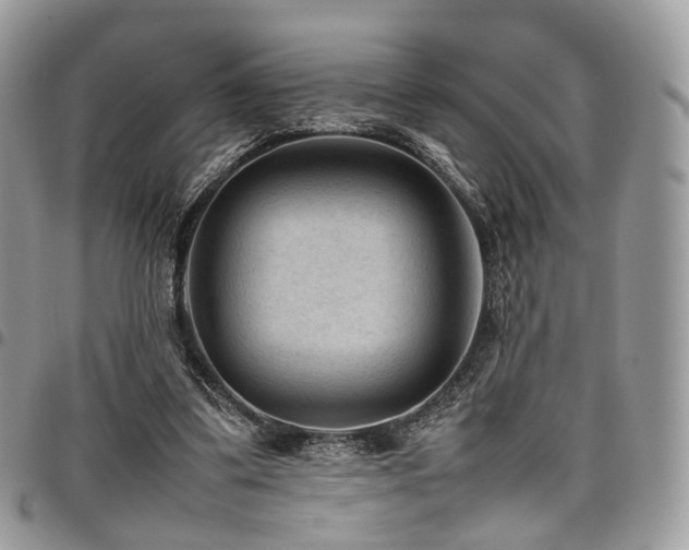 X0000098020299200803281340