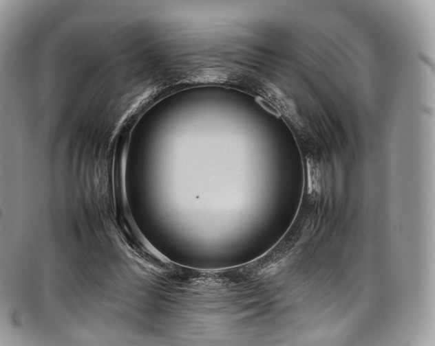 X0000098020300200803281340