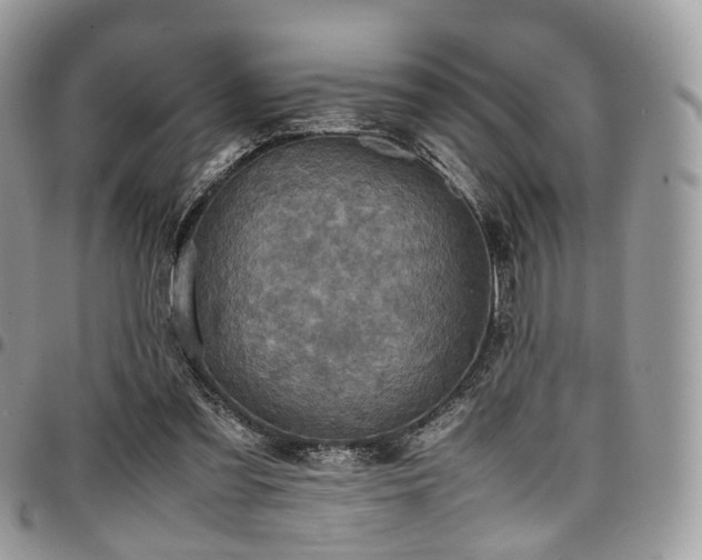 X0000098020301200803281340