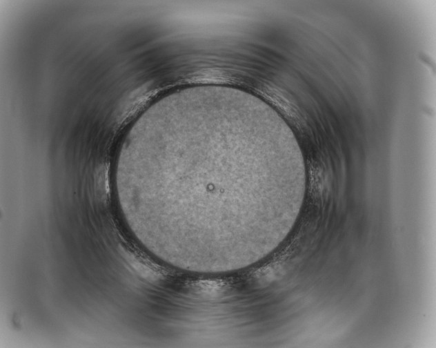 X0000098020302200803281340