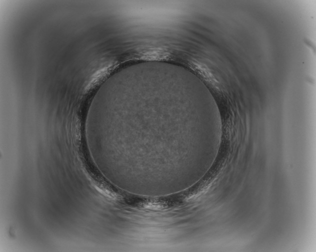 X0000098020303200803281340