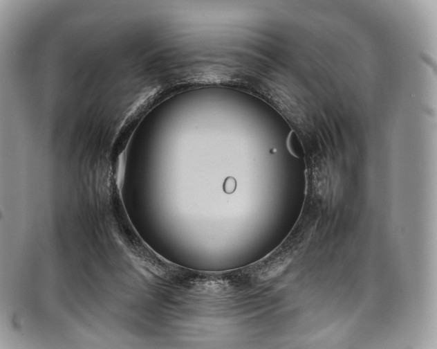 X0000098020304200803281340