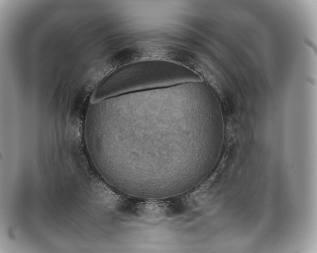 X0000098020305200803281340